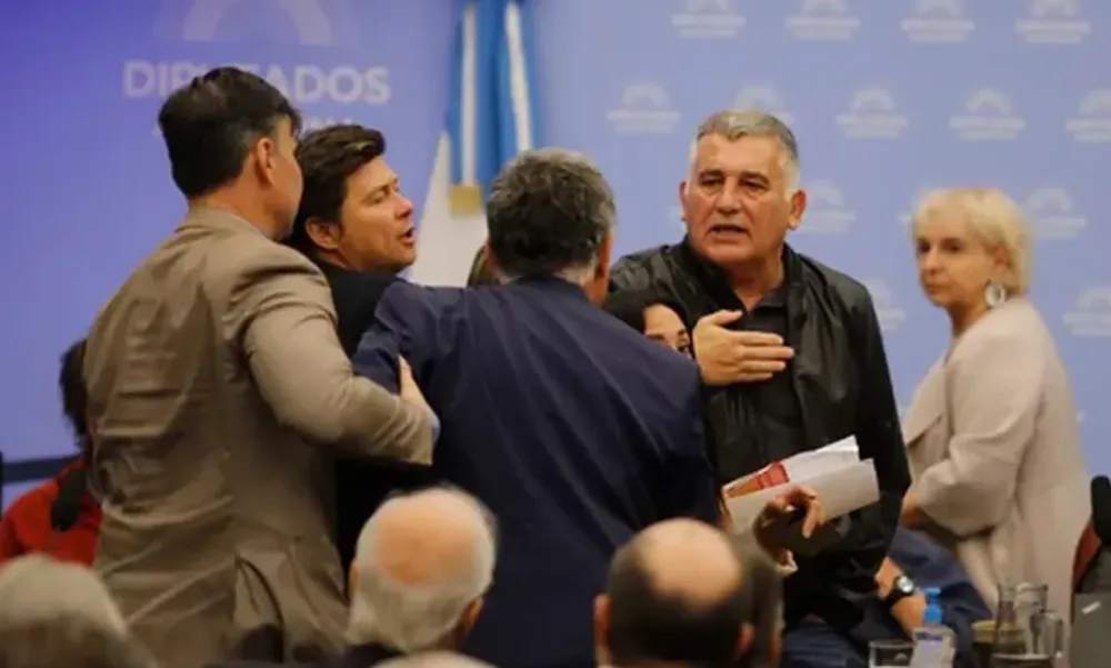 Audiencia Publica Glaciares