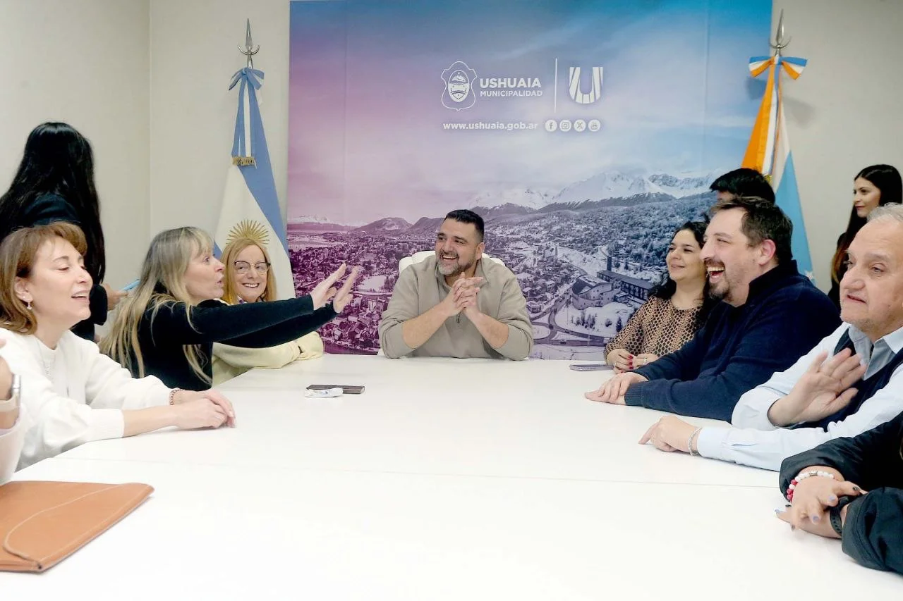 Vuoto senadores