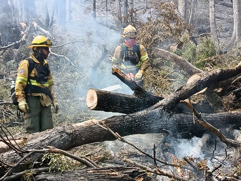 brigadistas fueguinos, incendios Chubut