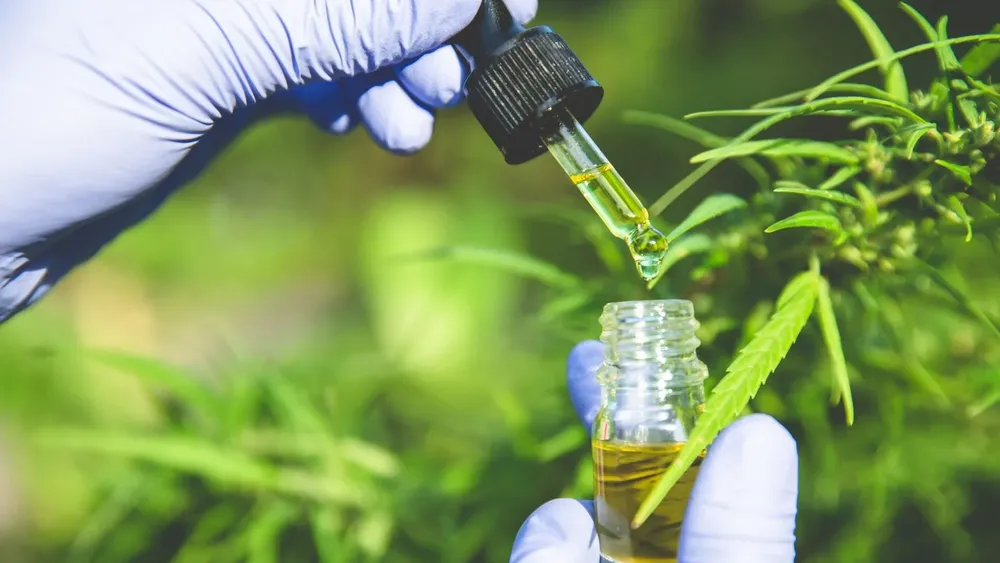 Cannabis medicinal